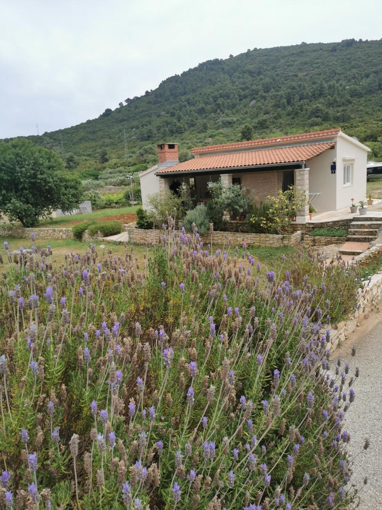 Holiday Home Cvitka Vis Ngoại thất bức ảnh