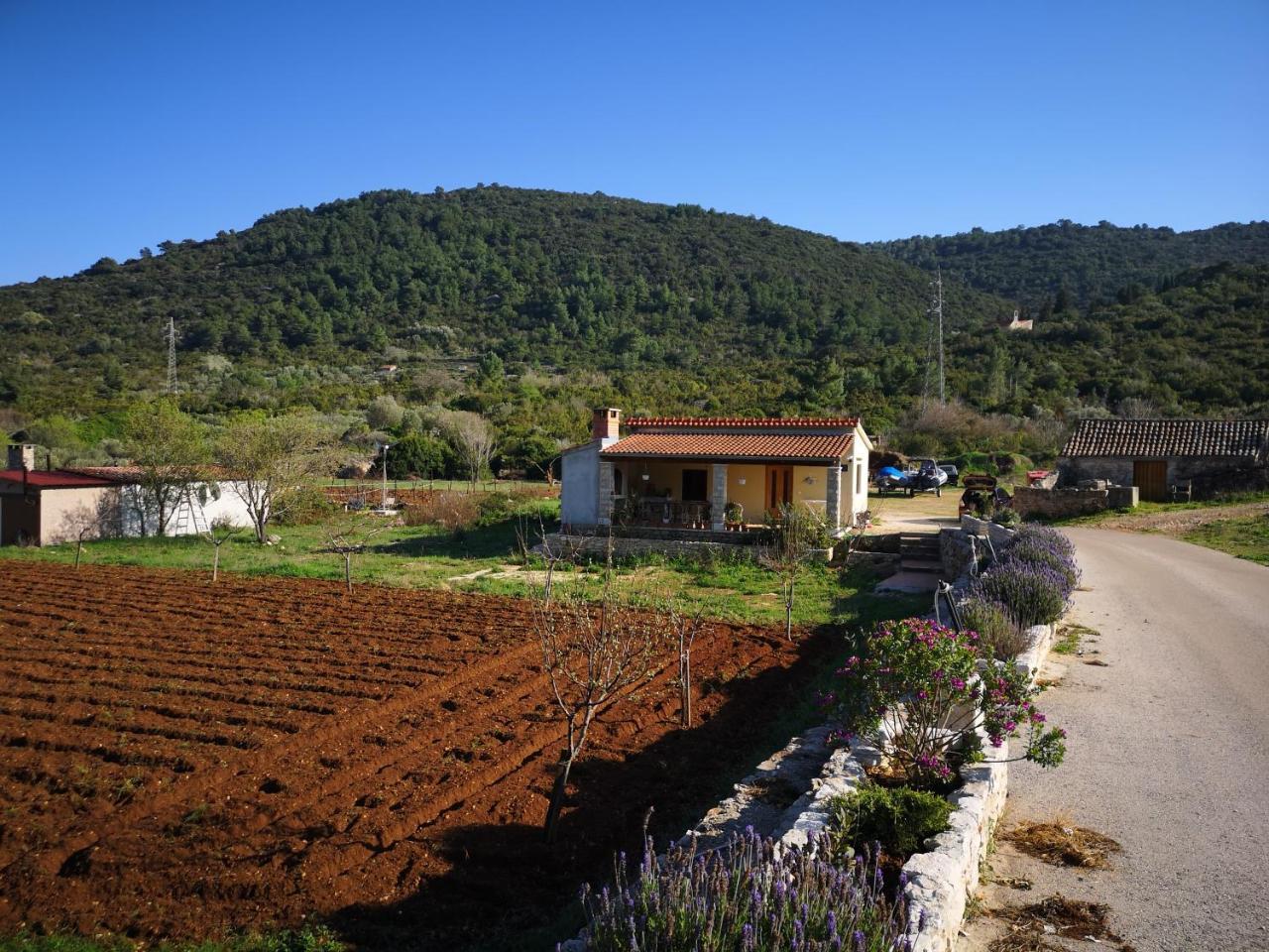 Holiday Home Cvitka Vis Ngoại thất bức ảnh